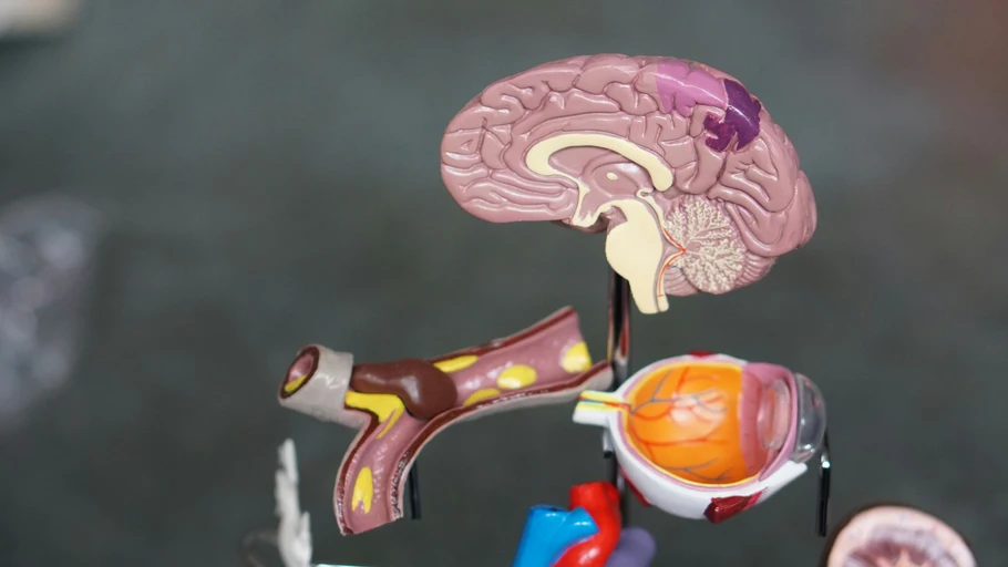 Psychology - Clinical, Neuro Psychology
